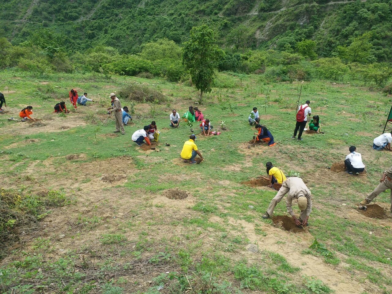 Plant Trees To Save Lives - Plantation Drive By Samoon